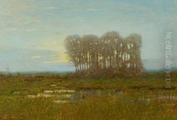 Moonlight On The Marshes Oil Painting by Robertson K. Mygatt