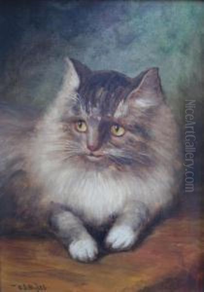 A Favourite Cat Oil Painting by William Scott Myles