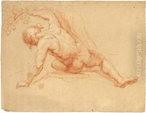 Male Nude, Seen From The Back Oil Painting by Daniel Ii Mytens