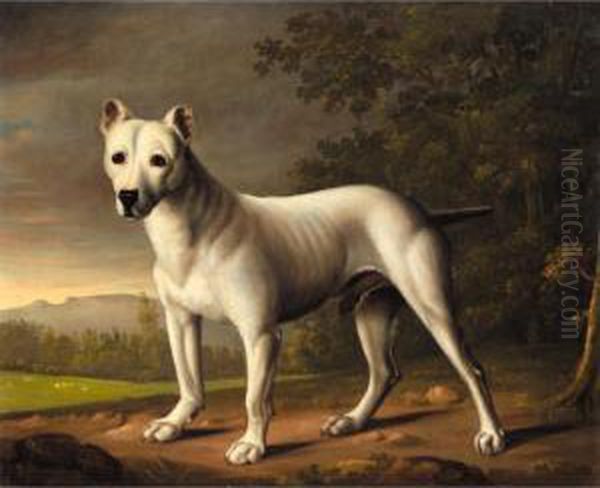 A Bull Terrier In A Landscape Oil Painting by George Nairn