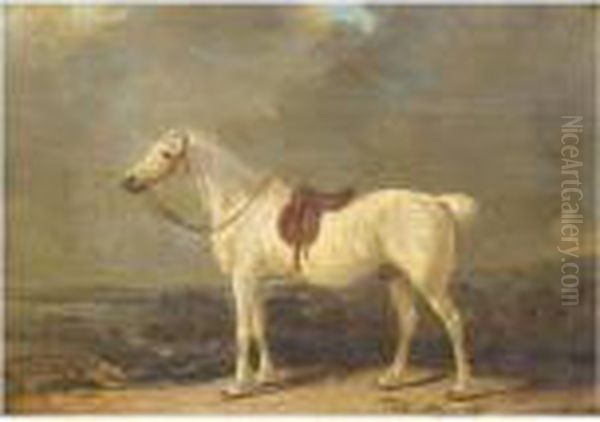 A Saddled Grey Hunter In A Landscape Oil Painting by George Nairn