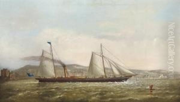 Attribua Steam Yacht Of The New Brighton Yacht Club Oil Painting by George Alexander Napier