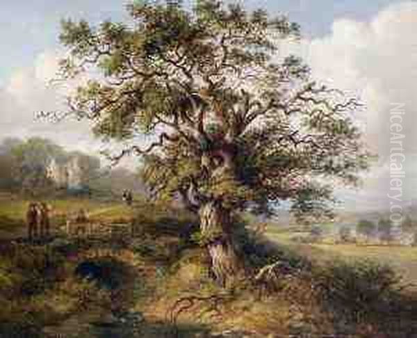 Wallace Oak Oil Painting by Jane Nasmyth