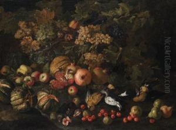 Melograni, Uva, Zucche, Fichi E Pere Con Uccelli Oil Painting by Pietro Navarra