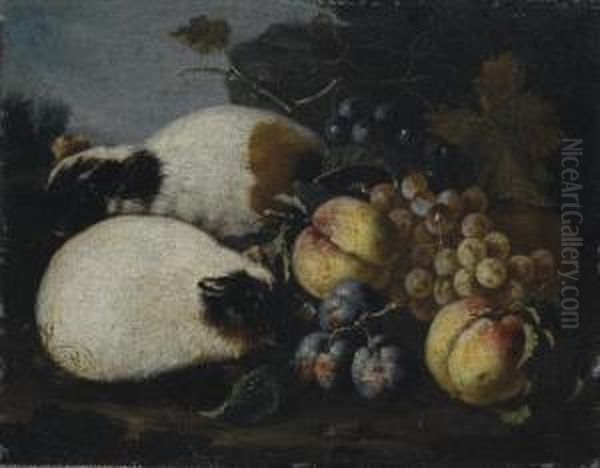 Uva, Pesche E Prugne Con Criceti Oil Painting by Pietro Navarra