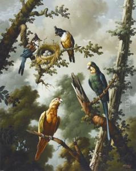 Zwei Amazonas-papageien Und Vogelpaar Mit Nest Oil Painting by J. Navarro