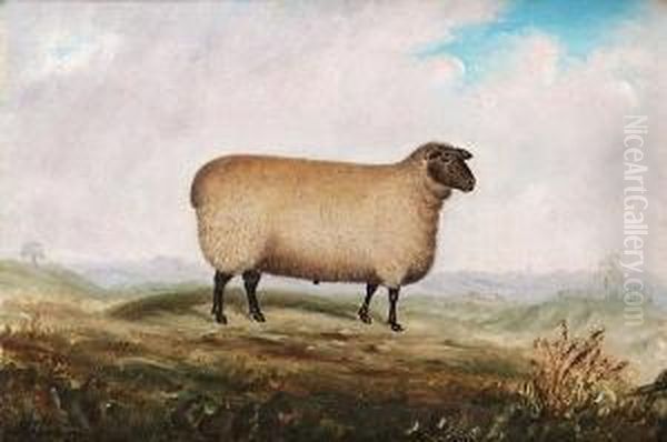 A Prize Southdown Ram; A Prize Southdown Ewe, Bred By Earl Guilford Of Waldershare In Kent Oil Painting by Austin Neame