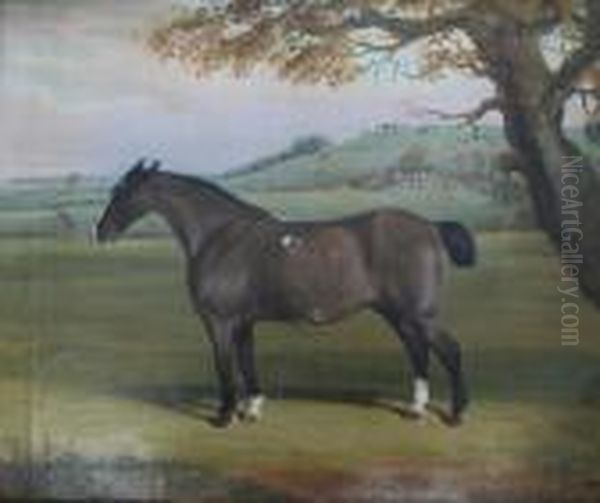 Punch, Aged 17, In A Landscape, A Hunt On A Hill Beyond Oil Painting by William Nedham