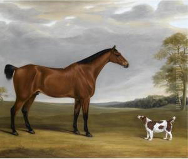 Various Properties
 

 
 
 

 
 A Bay Hunter And Spaniel Before Goodwood Park Oil Painting by William Nedham