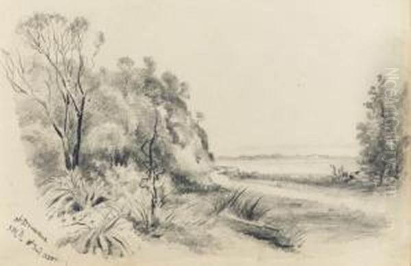 Two Drawings Of Dromana Oil Painting by John Mckirdy Nelson