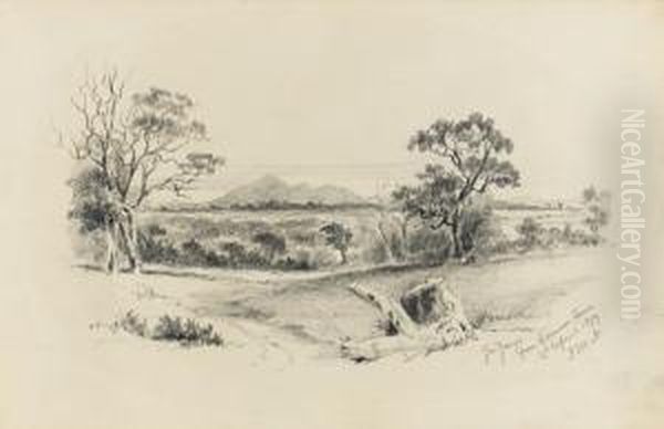 You Yangs From German Town Oil Painting by John Mckirdy Nelson