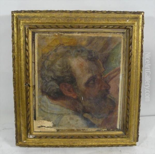 Bearded Male Head Oil Painting by Bartolomeo Neroni