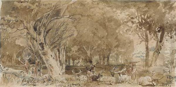 Deer Resting In The Shade Oil Painting by William Andrews Nesfield