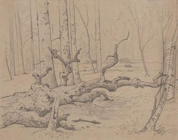 Waldstudie Mit Verdorrtem Baum Oil Painting by Eugen Napoleon Neureuther