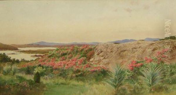 A View Of Screebe Oil Painting by Louis Neville