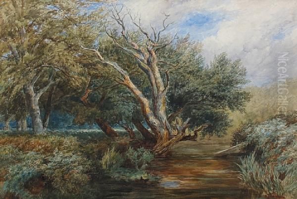 Silent Pool Oil Painting by Frederick Clive Newcombe