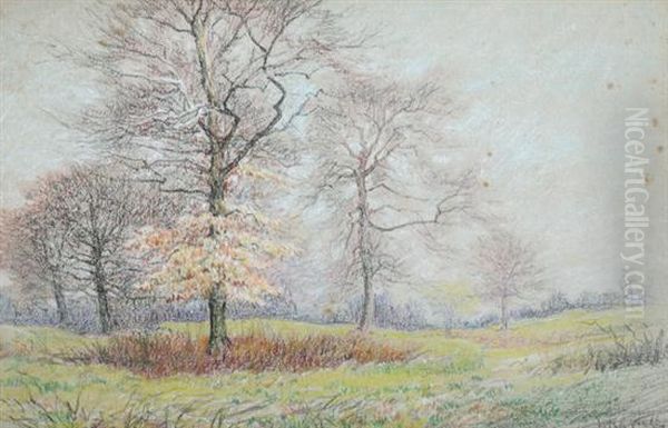 Group Of Trees In Autumn Landscape Oil Painting by Hugh Newell