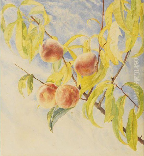 Peaches Oil Painting by Henry Roderick Newman