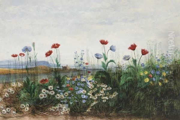 Wild Flowers With View Of Doe Castlebeyond Oil Painting by Andrew Nicholl