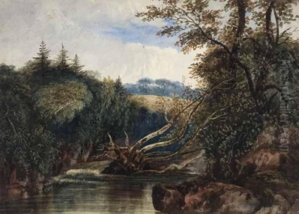 Fallen Tree Oil Painting by William Nicholl