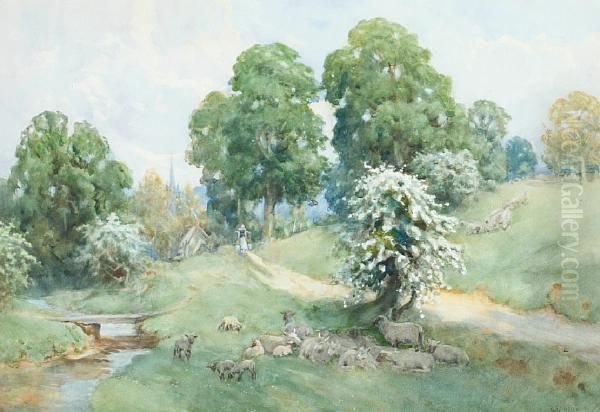 Rural Scene With Sheep On A Village Common Oil Painting by George Franck Nicholls