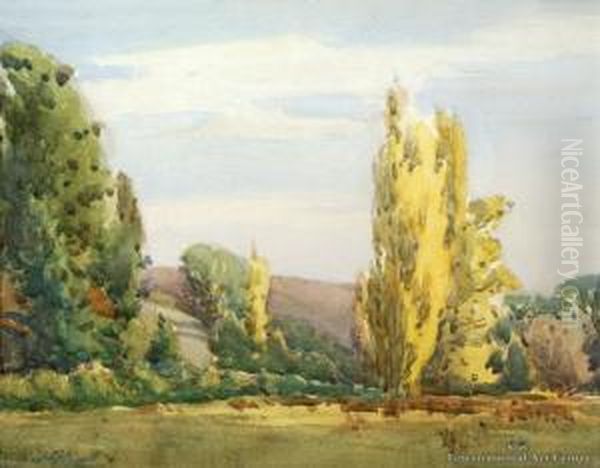 Poplars, Nelson by Archibald Frank Nicoll