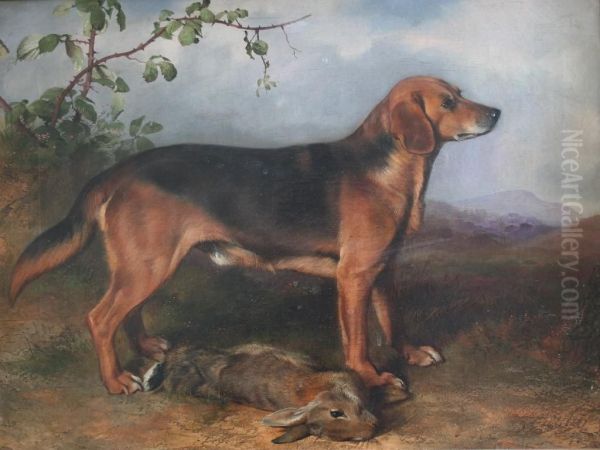 A Hound With A Rabbit Oil Painting by Robert Nightingale