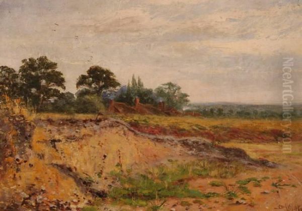 D Nisbet 19th Century Oil On Canvas, Rurallandscape, Signed, 10