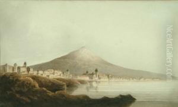 Bay Of Naples Oil Painting by Francis Russell Nixon