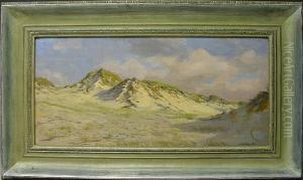 Sylter Dunenlandschaft Oil Painting by Jacob Nobbe