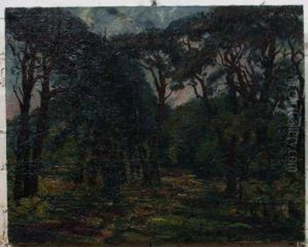 Bossen In Zolder Oil Painting by Lucien Nolens