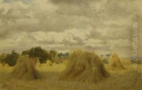 In The Harvest Field Oil Painting by Philip Norman