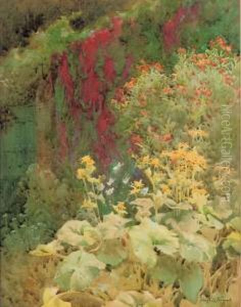 Flame Flower [tropaeolum Speciosum] And Summer Ragwort [senecio Clivorum] In A Herbaceous Border Oil Painting by Hugh L. Norris