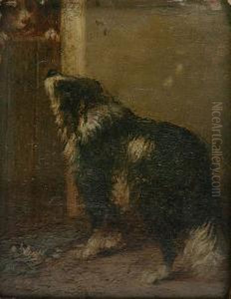 Twee Honden Oil Painting by Zacharias Noterman