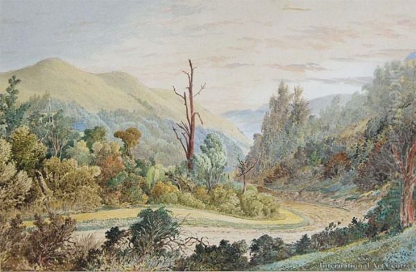 Four Homes In The Leith Valley, Dunedin Oil Painting by George O'Brien