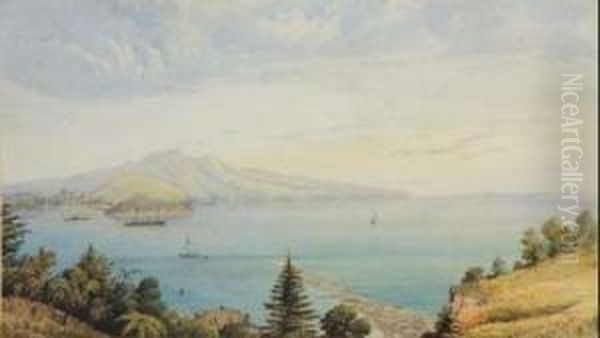 Dunedin Harbour Oil Painting by George O'Brien