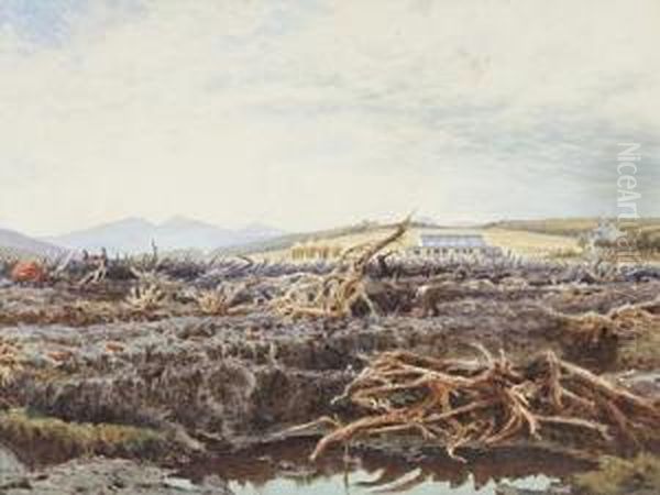 Duke Of Sutherland's Moorland Reclamation, Sutherland Oil Painting by John O'Connor