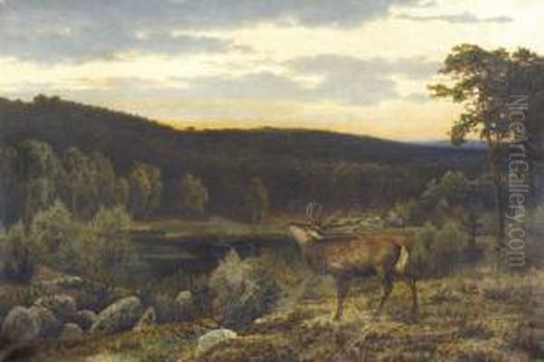 Abend In Der Mark Mit Brunfthirsch Oil Painting by Eduard Ockel