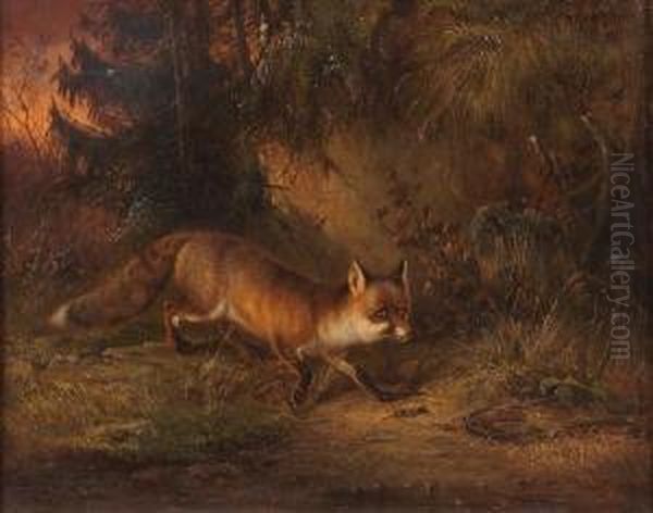 A Fox In The Woods Oil Painting by Carl Friedrich Ockert