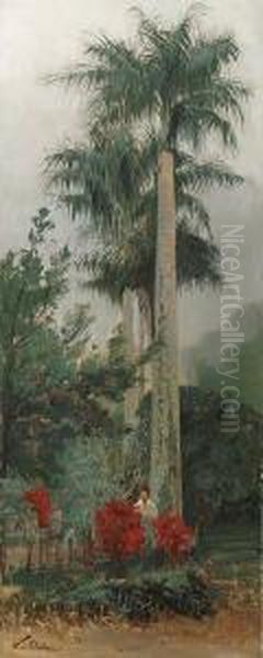 Jardim Botanico, Rio De Janeiro Oil Painting by Karl Oenicke