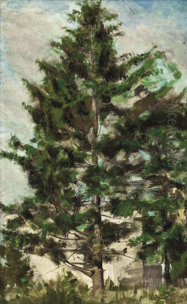 Study Of A Spruce Oil Painting by George Ferdinand Of