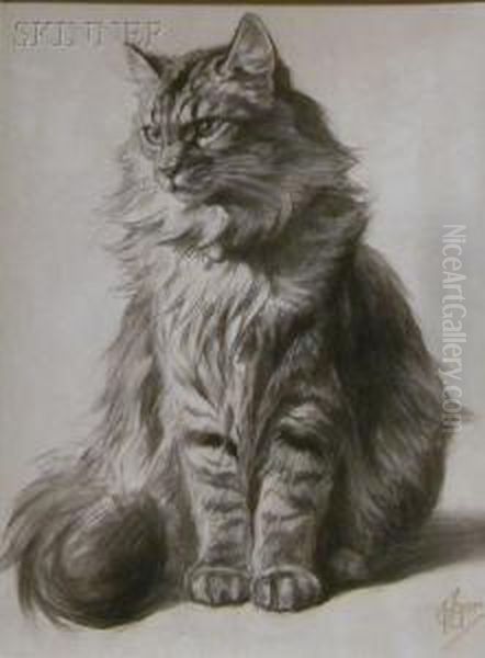 Study Of A Tabbycat Oil Painting by Ferdinand Oger