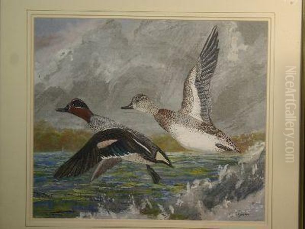 Two Ducks Taking Flight Oil Painting by Charles Ogilvy