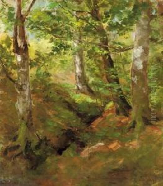 A Forest At Midday Oil Painting by Antonovna Lagoda-Shishkina Ol'Ga