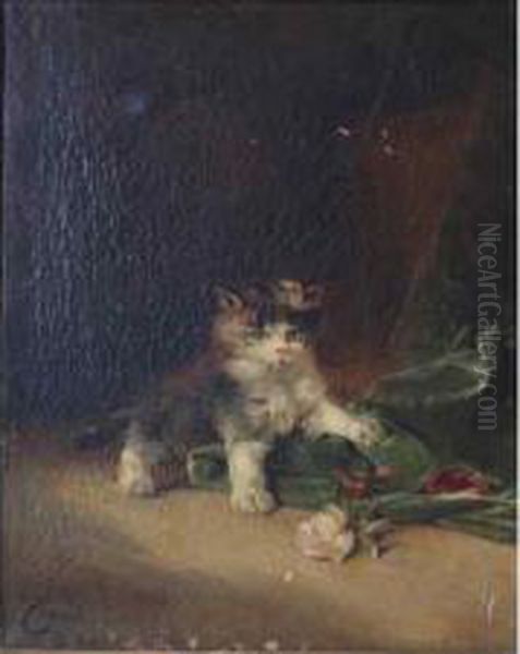 Chaton Oil Painting by Federico Olaria