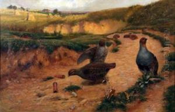 Partridges And Cartridges Oil Painting by Alfred Oliver