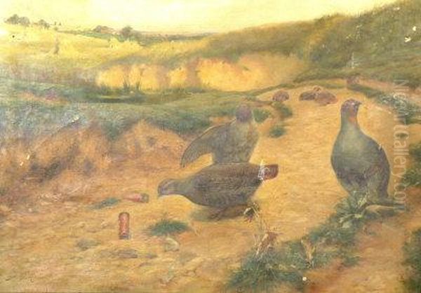 Partridge On A Sandbank Oil Painting by Alfred Oliver