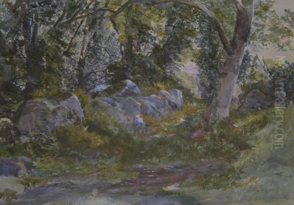 A Woodland Clearing Oil Painting by Alfred Oliver