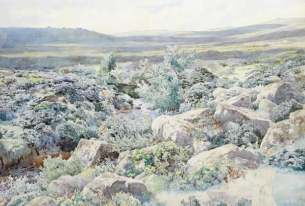 A Stream Running Through A Summer Moorland Landscape by Herbert Arnauld Olivier