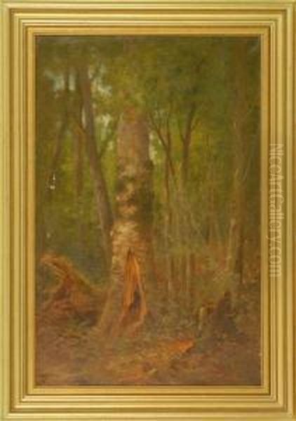 Forest Interior Oil Painting by William Ongley